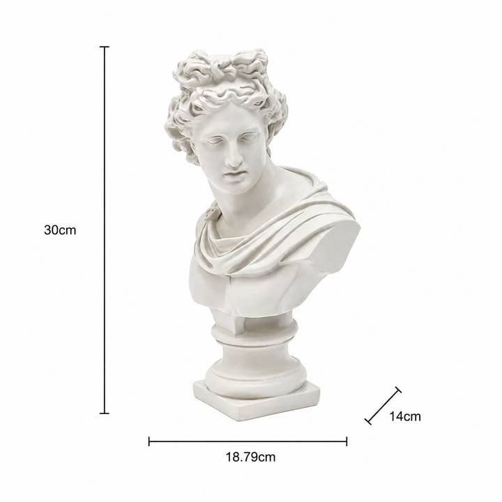 Grey Classical Greco-Roman Bust Sculpture, Matte Finish