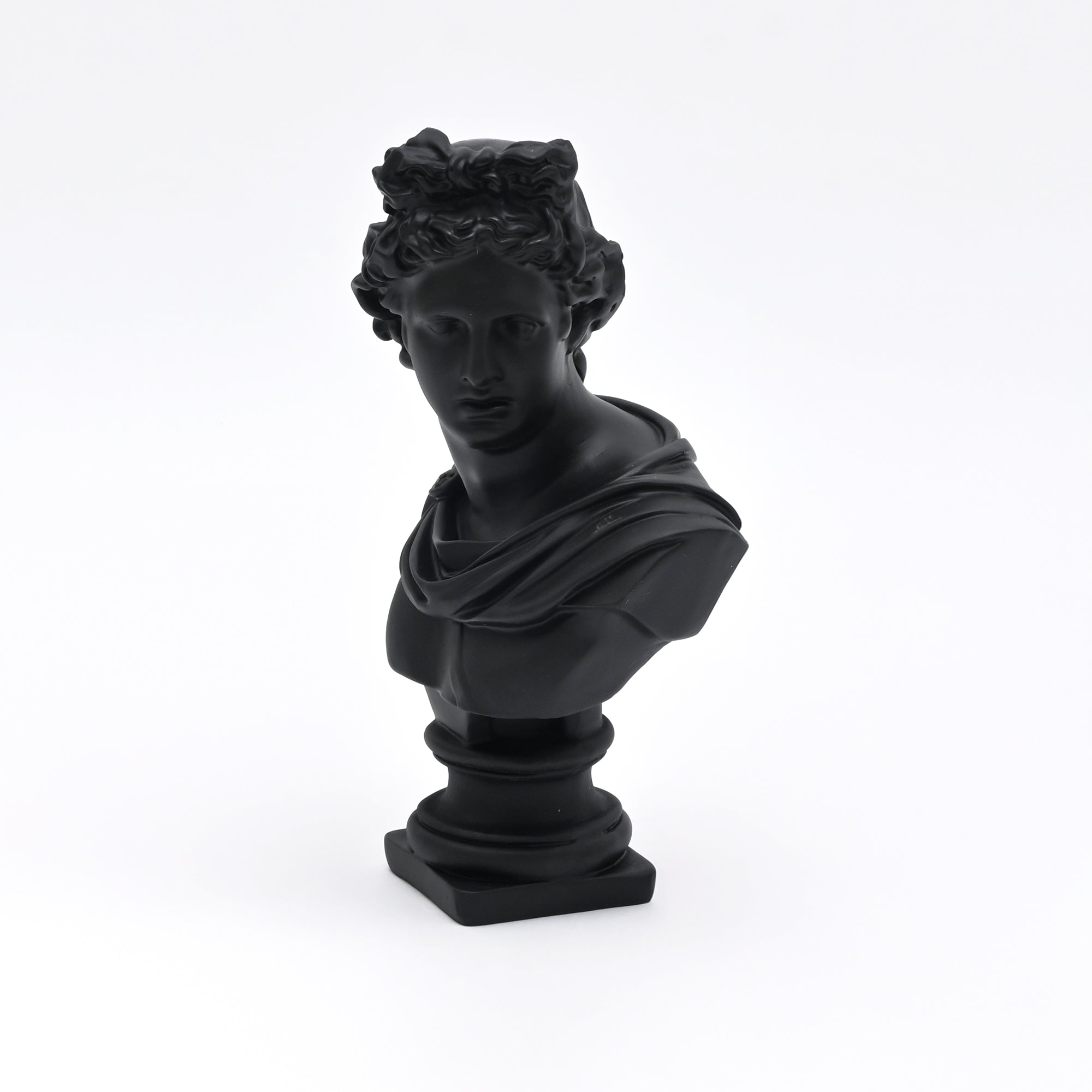 Black Classical Greco-Roman Bust Sculpture in Matte Resin
