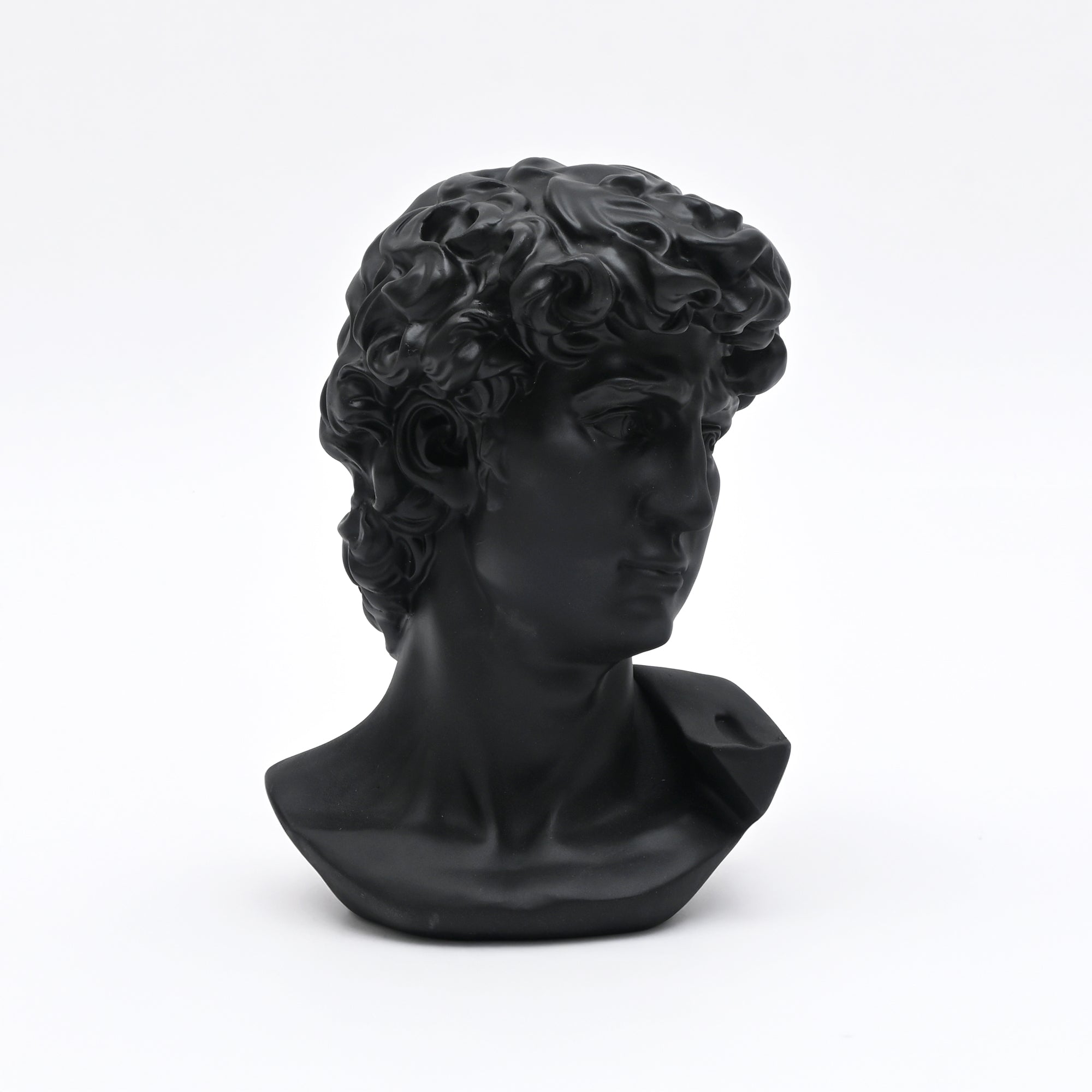 Black Monochrome Classical Bust Sculpture in Matte Resin
