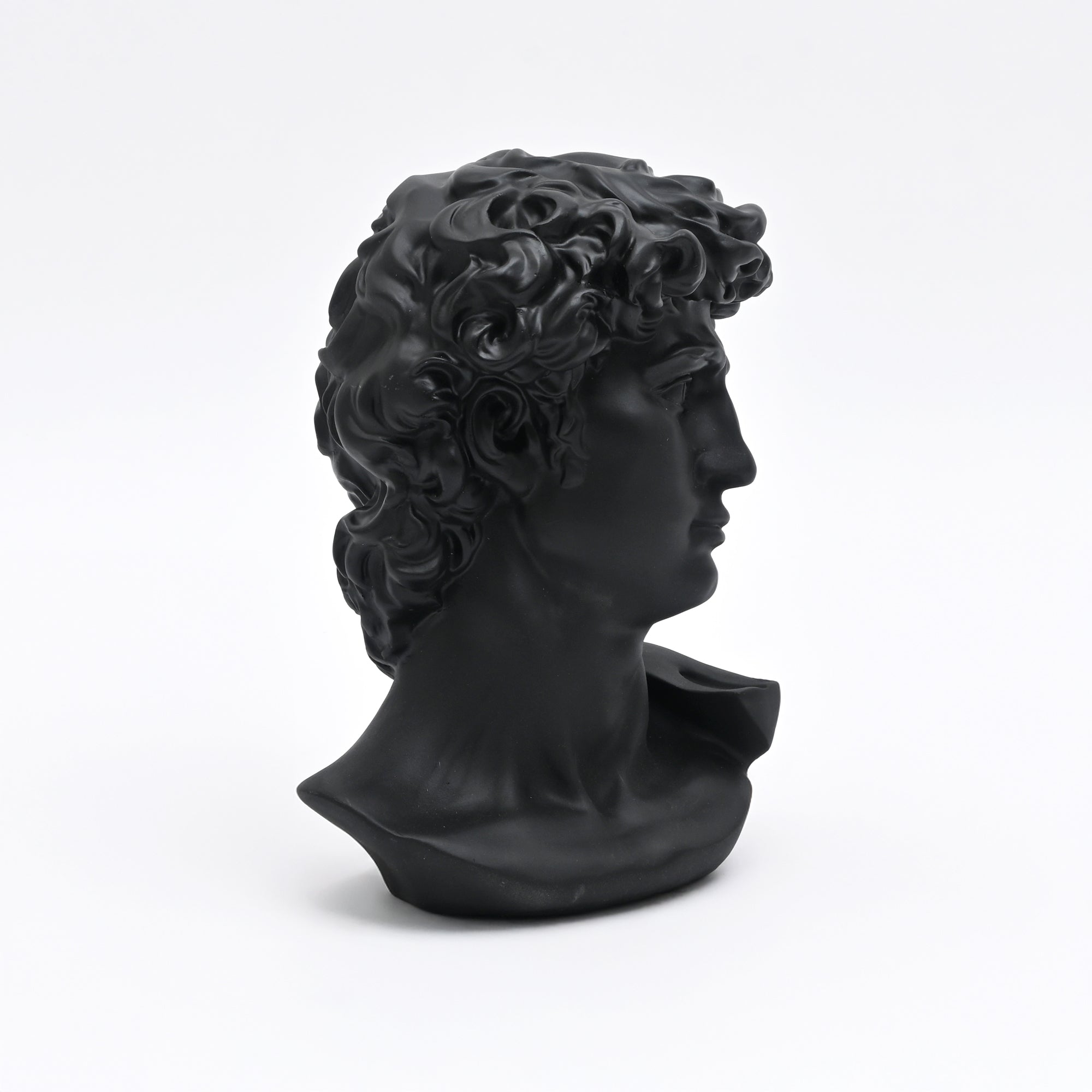 Black Monochrome Classical Bust Sculpture in Matte Resin