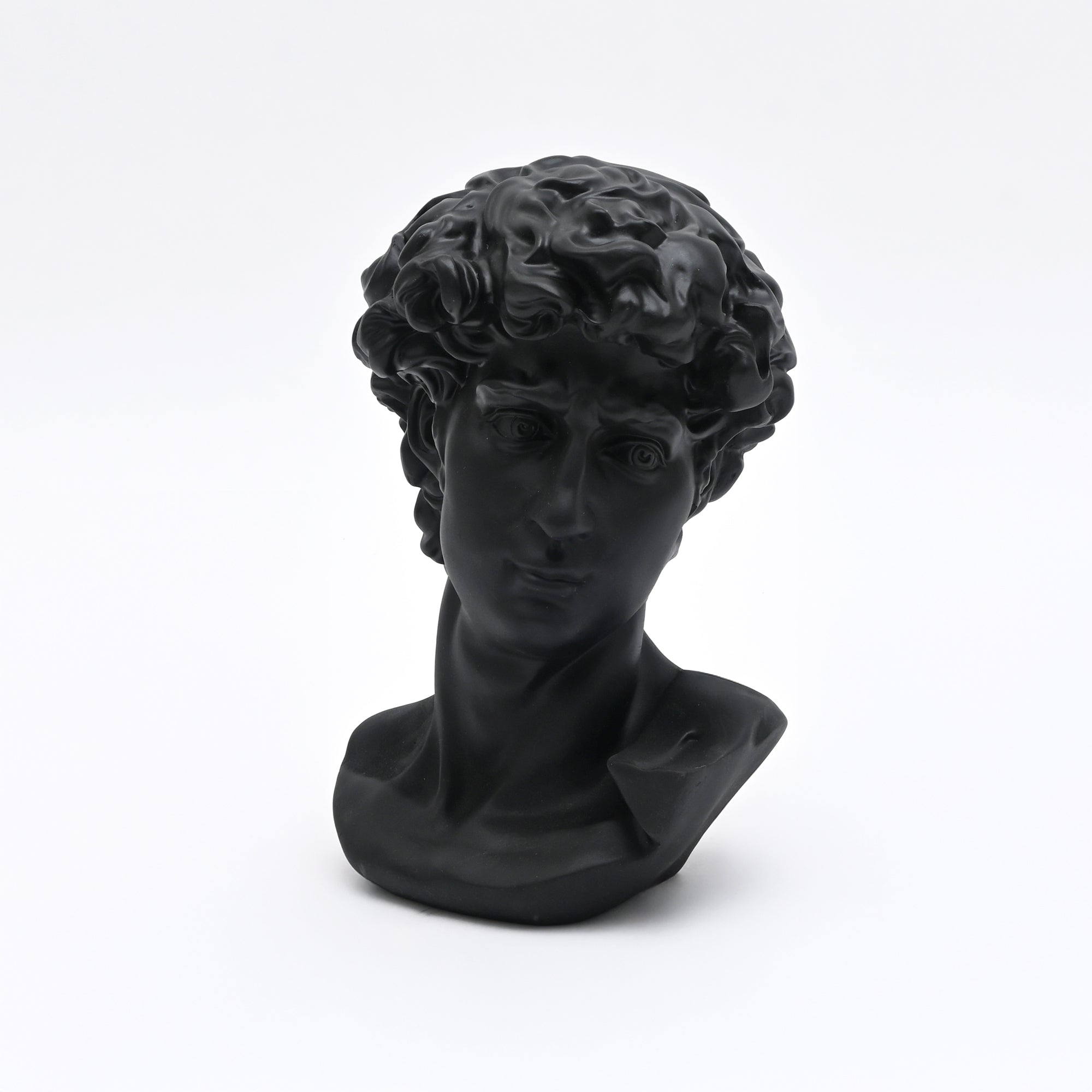 Black Monochrome Classical Bust Sculpture in Matte Resin