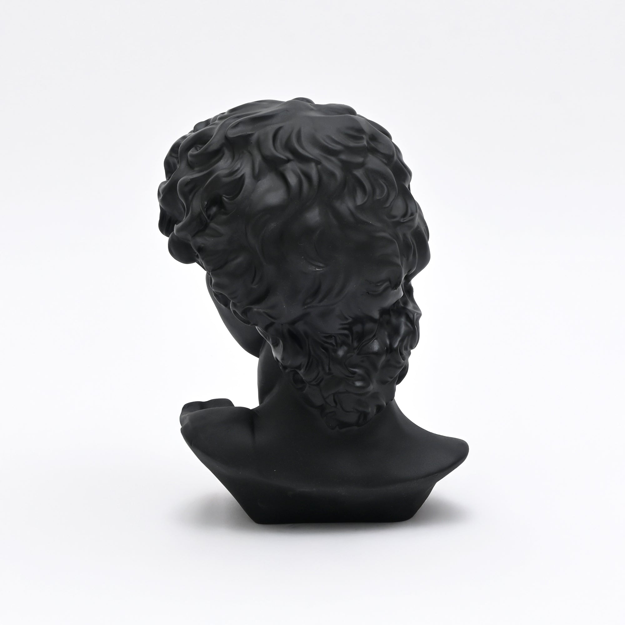 Black Monochrome Classical Bust Sculpture in Matte Resin