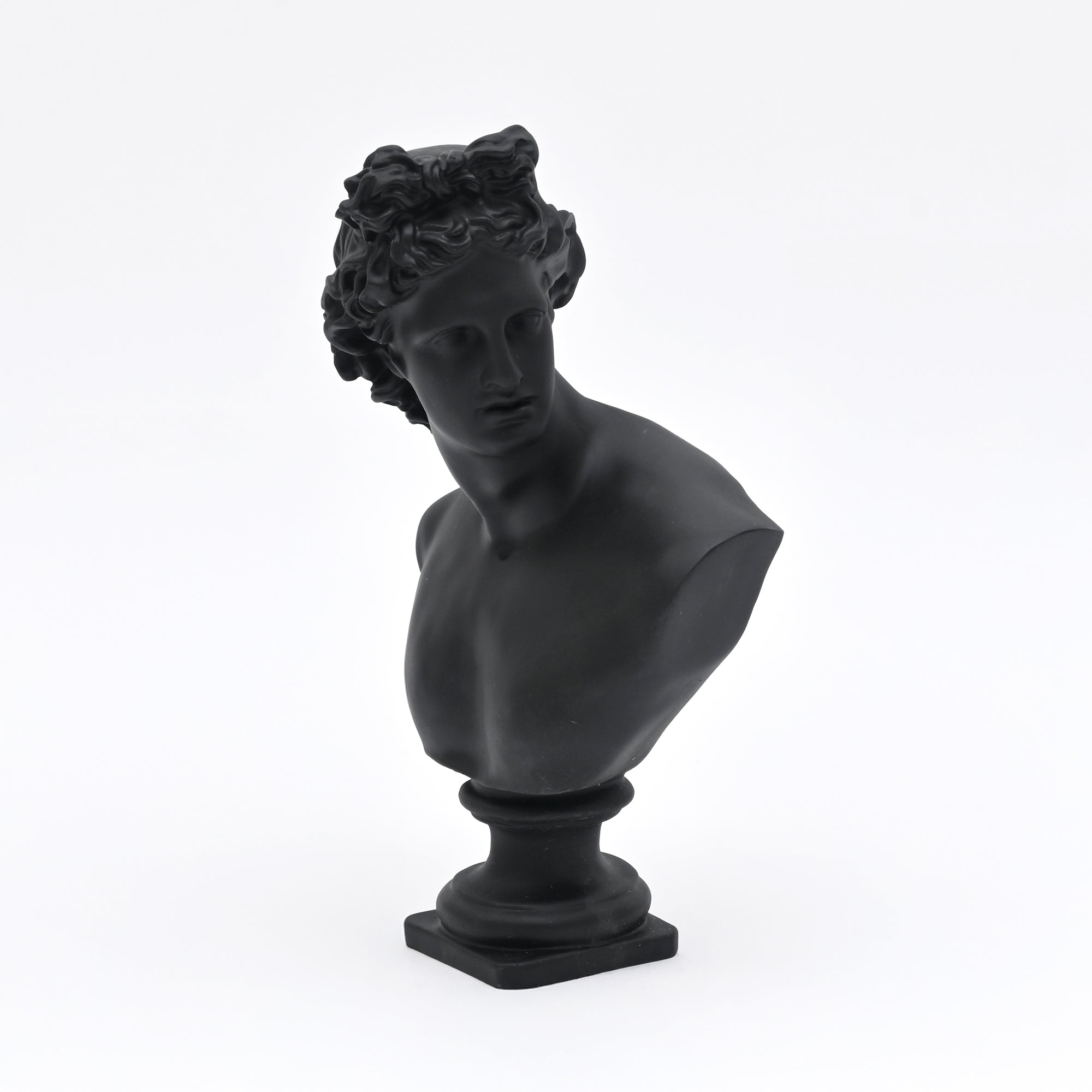 Black Neo-Classical Bust Sculpture in Matte Resin