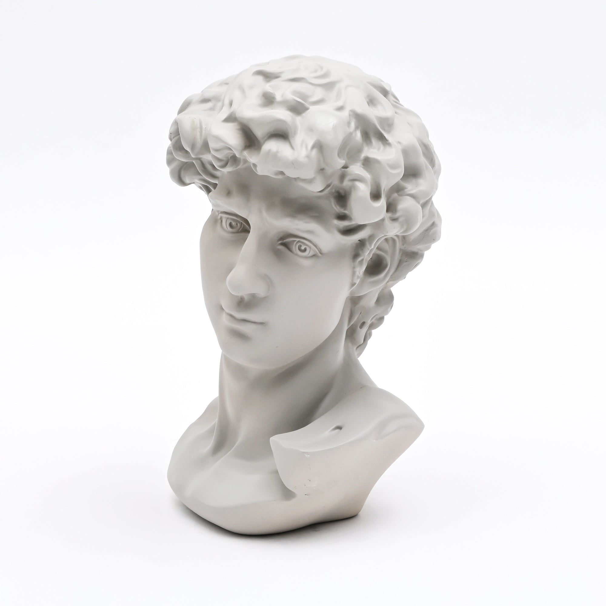 Grey Classical Greco-Roman Bust Sculpture in Matte Finish