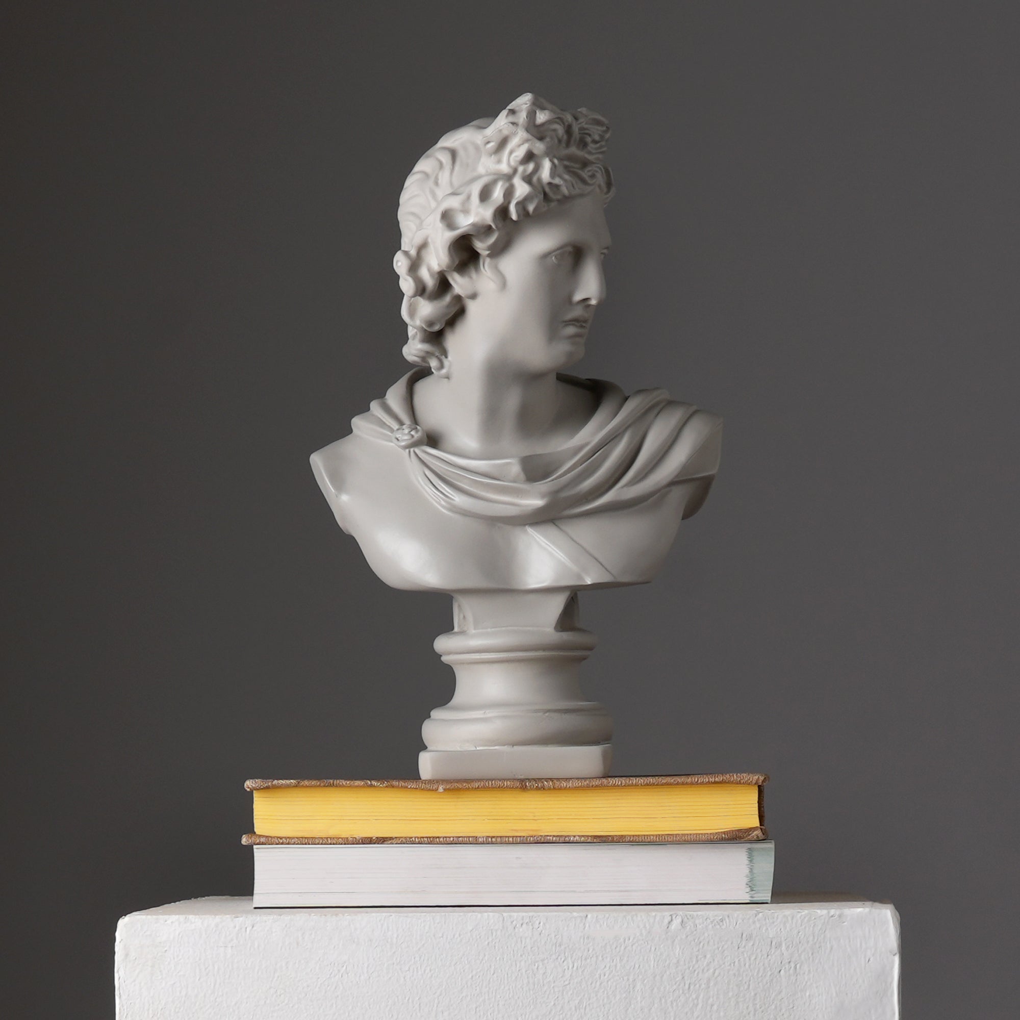 Grey Classical Greco-Roman Bust Sculpture, Matte Finish