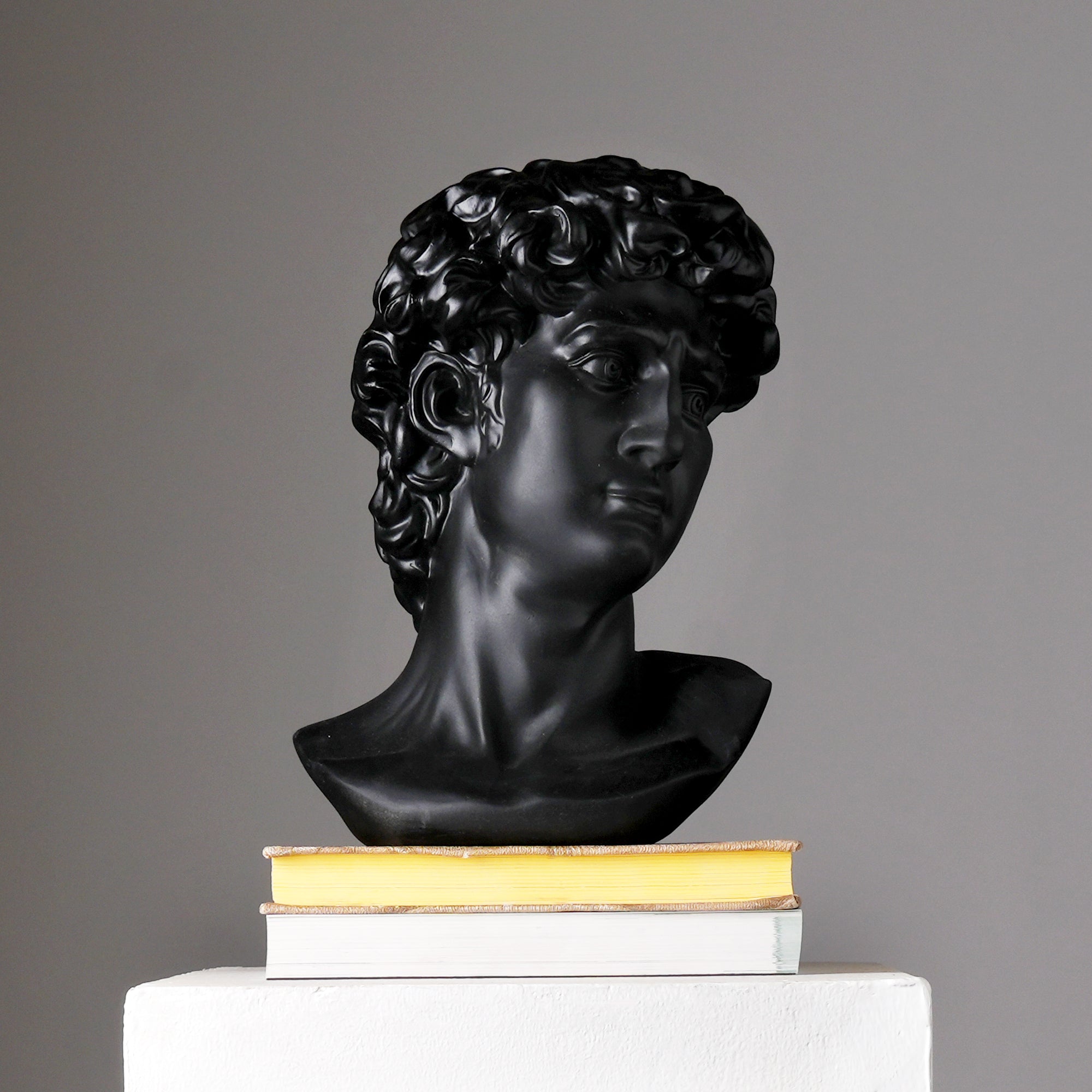 Black Monochrome Classical Bust Sculpture in Matte Resin
