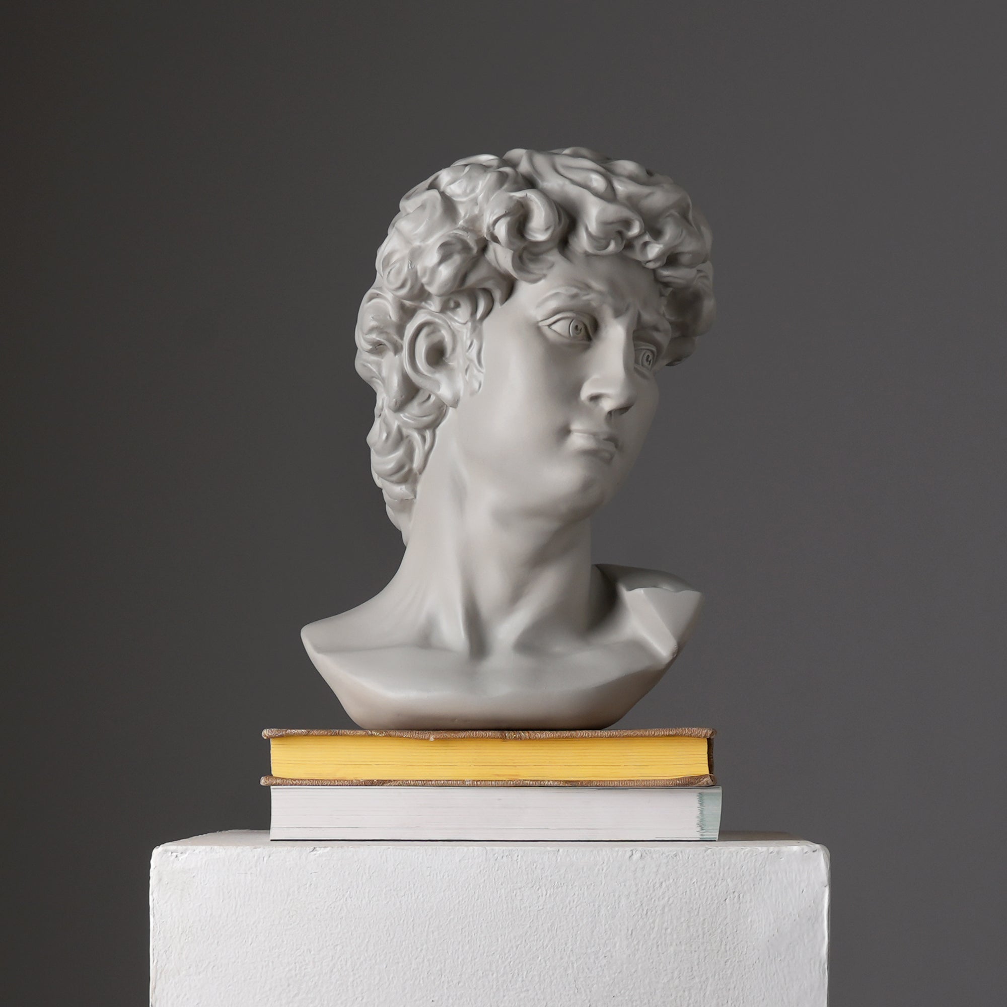 Grey Classical Greco-Roman Bust Sculpture in Matte Finish